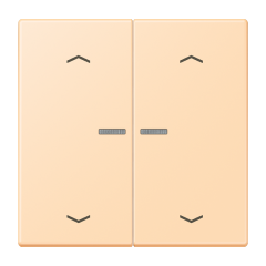 JUNG HOME кнопка, 2 группы с символами «стрелки», BT LC 17102 P223