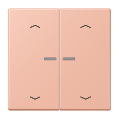 JUNG HOME кнопка, 2 группы с символами «стрелки», BT LC 17102 P231