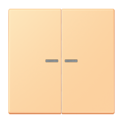 JUNG HOME кнопка, 2 группы, BT LC 17102258