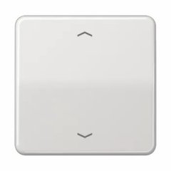 CD590PLG Клавиша для одинарной кнопки BCU; светло-серая