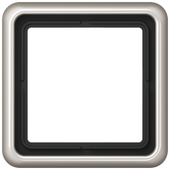 CD581PT Рамка для вертикальной и горизонтальной установки, однократная, платина