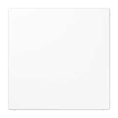 LS994BWW Крышка без отверстий для произвольных вырезов; белая