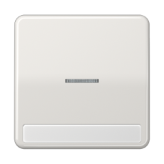 CD590NAKO5LG Клавиша с окошком для выключателя с подсветкой и полем для надписи; светло-серая