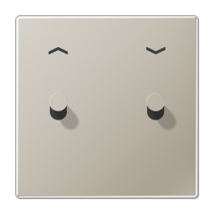 Центральная плата с символом «стрелки», 1 пост, 2 тумблера,конус; металлическое исполнение; нержавеющая сталь; серия LS