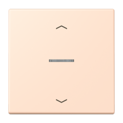 JUNG HOME кнопка, 1 группа с символами «стрелки», BT LC 17101 P228