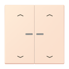 JUNG HOME кнопка, 2 группы с символами «стрелки», BT LC 17102 P226