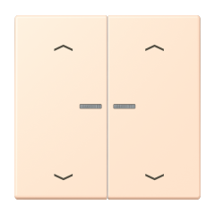 JUNG HOME кнопка, 2 группы с символами «стрелки», BT LC 17102 P238