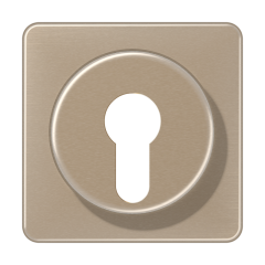 CD528GB Крышка для выключателя с замком; золотая бронза