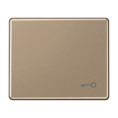 SL590TGB Клавиша для выключателя с символом ключ; золотая бронза