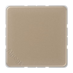 CD594-0GB Крышка без отверстий с несущим каркасом для произвольных вырезов; золотая бронза