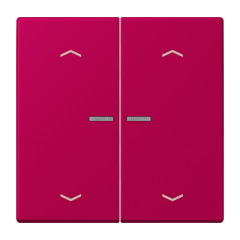 JUNG HOME кнопка, 2 группы с символами «стрелки», BT LC 17102 P230