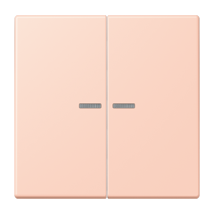 JUNG HOME кнопка, 2 группы, BT LC 17102234