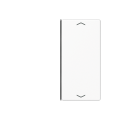 A402TSAPWW Накладка с символам