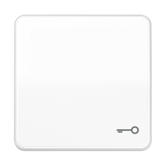 CD590TWW Клавиша с символом ключ; белая