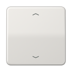 Центральная плата для вставок управления двигателями, CD1700PLG