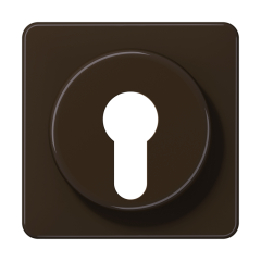 CD528BR Крышка для выключателя с замком; коричневая