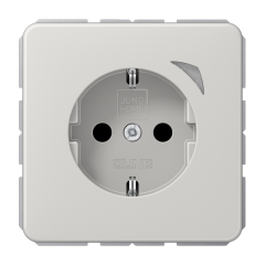 JUNG HOME SCHUKO® розетка, BT CD 1521 S LG