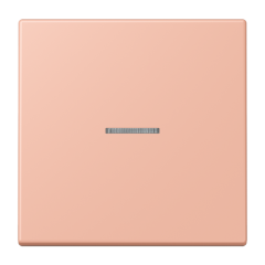 JUNG HOME кнопка, 1 группа, BT LC 17101231