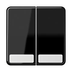 CD595NASW Клавиши для сдвоенных выключателей и кнопок с полем для надписи; черные