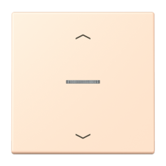 JUNG HOME кнопка, 1 группа с символами «стрелки», BT LC 17101 P238