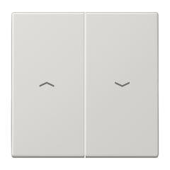 LS995PLG Клавиша для выключателя управления жалюзи; светло-серая