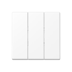 A593BFWWM - Jung A500 Клавиша 3-ая, цвет Матовый белый A593BFWWM