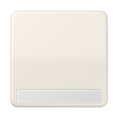 CD590NA Клавиша для выключателя и кнопки, с полем для надписи; слоновая кость