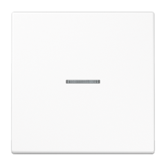 KNX RF кнопка, 1 группа, LS 10911 ST RF WW