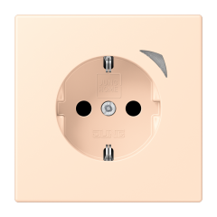JUNG HOME SCHUKO® розетка Energy, BT LC 1521 SE238