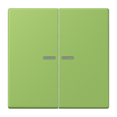 JUNG HOME кнопка, 2 группы, BT LC 17102220