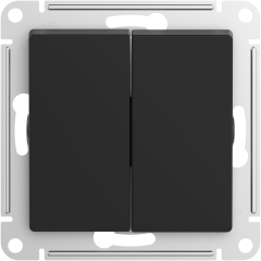 ATN441051 - Выключатель AQUA 2-клавишный, IP44, 10АХ КАРБОН