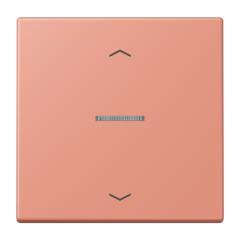 JUNG HOME кнопка, 1 группа с символами «стрелки», BT LC 17101 P233