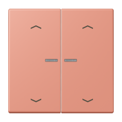 JUNG HOME кнопка, 2 группы с символами «стрелки», BT LC 17102 P233