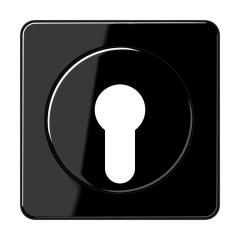 CD528SW Крышка для выключателя с замком; черная