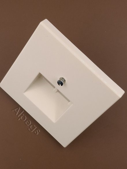 LS969-2UA Крышка для двойной телефонной и компьютерной розетки UAE; слоновая кость