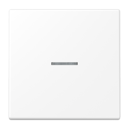 KNX RF кнопка, 1 группа, LS 10911 ST RF WWM