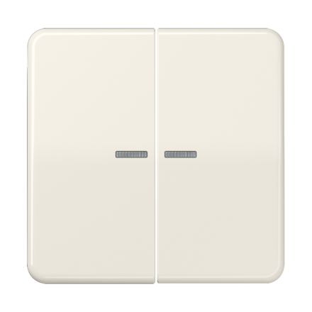 CD595KO5BF Клавиши ударопрочные для сдвоенногых выключателей с подсветкой; слоновая кость