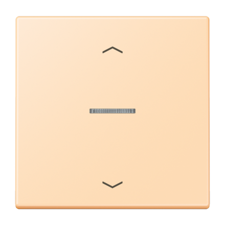 JUNG HOME кнопка, 1 группа с символами «стрелки», BT LC 17101 P223