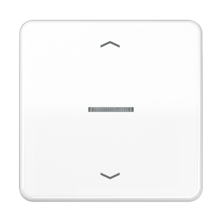 JUNG HOME кнопка, 1 группа с символами «стрелки», BT CD 17101 P WW