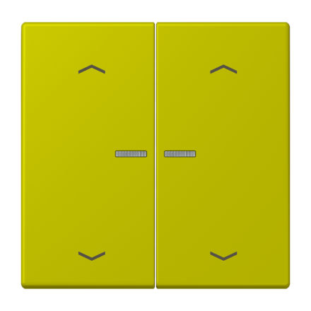 JUNG HOME кнопка, 2 группы с символами «стрелки», BT LC 17102 P249