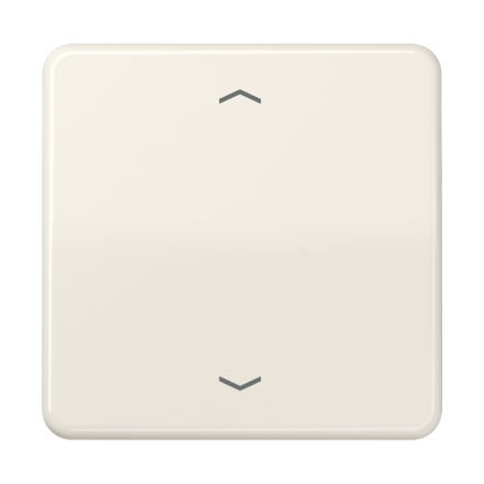 CD590P Клавиша для одинарной кнопки BCU; слоновая кость