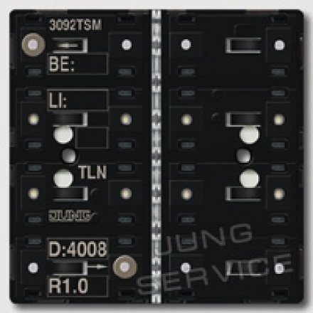3092TSM KNX кнопочный модуль с интегрированным шинным сопряжением стандарт 2 группы