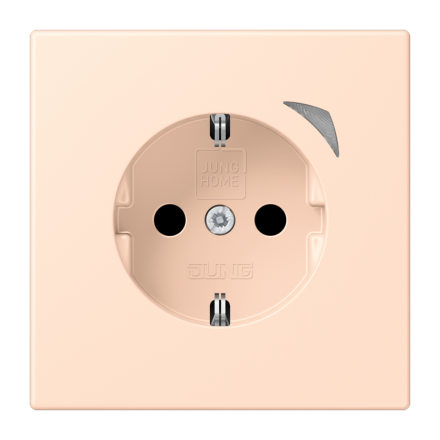 JUNG HOME SCHUKO® розетка, BT LC 1521 S228