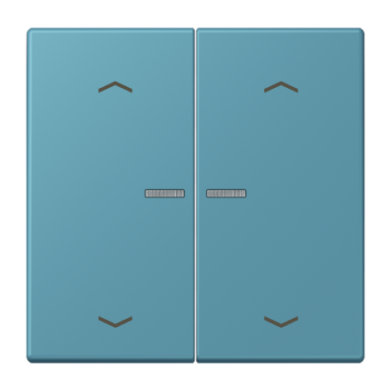 JUNG HOME кнопка, 2 группы с символами «стрелки», BT LC 17102 P212