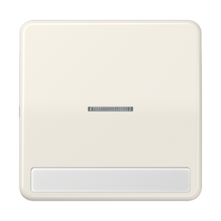 CD590NAKO5 Клавиша с окошком для выключателя с подсветкой и полем для надписи; слоновая кость