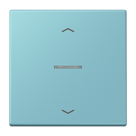 JUNG HOME кнопка, 1 группа с символами «стрелки», BT LC 17101 P213