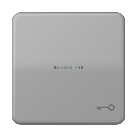 CD590KO5TGR Клавиша с окошком и символом ключ для выключателей с подсветкой; серая