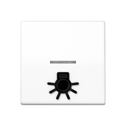 Безбарьерная среда Kлавиша с рельефным символом «освещение» и окошком, SPAS 591 L1KO5 WW