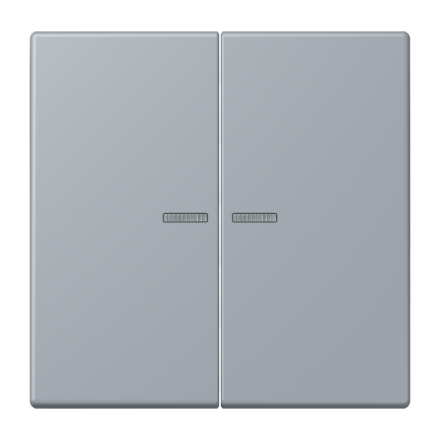 JUNG HOME кнопка, 2 группы, BT LC 17102257