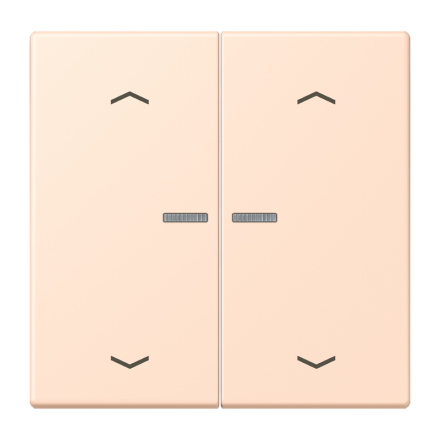 JUNG HOME кнопка, 2 группы с символами «стрелки», BT LC 17102 P228